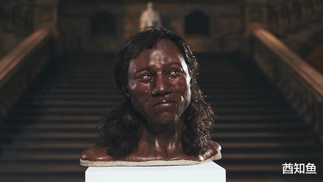 黄种人、黑人和白人地域相隔了几万年,为啥没有出现生殖隔离?
