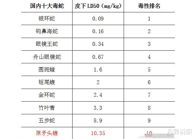 毒蛇|国内十大毒蛇之——烙铁头蛇，为何毒性不强，却破坏力十足？