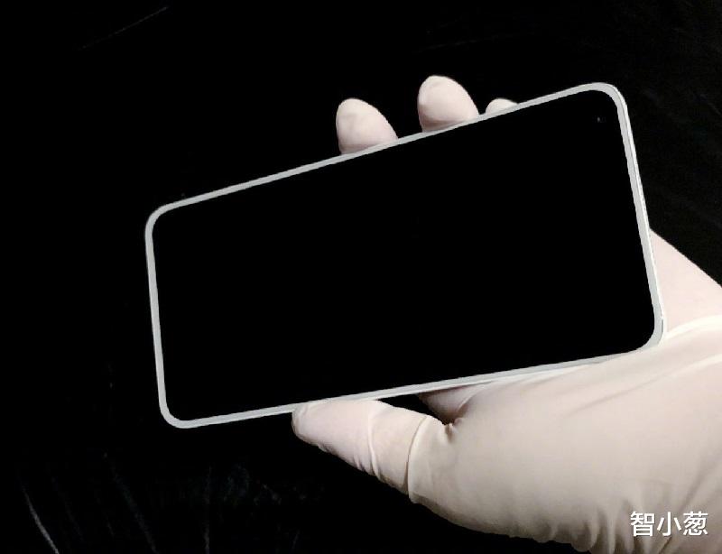 |毫无消息的坚果R2终于曝光，不过这样强行加logo真的好吗