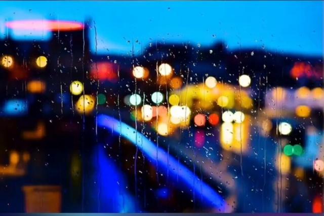 浦东新区|手机摄影「9期」：速学手机如何对焦？删掉模糊感让照片品味提升