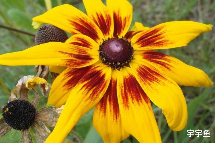 运势|9月开始前程一片光明,运势上升,财门大开,有福有禄的四大生肖