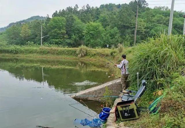 |钓鱼是如何让人“上瘾”的,新手只需要3步,就能把你拉入钓鱼的“坑”中