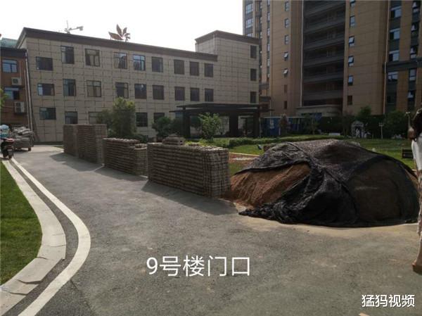 『信阳』信阳一小区刚交房不到半年草坪变砖地 业主们把砖掀了