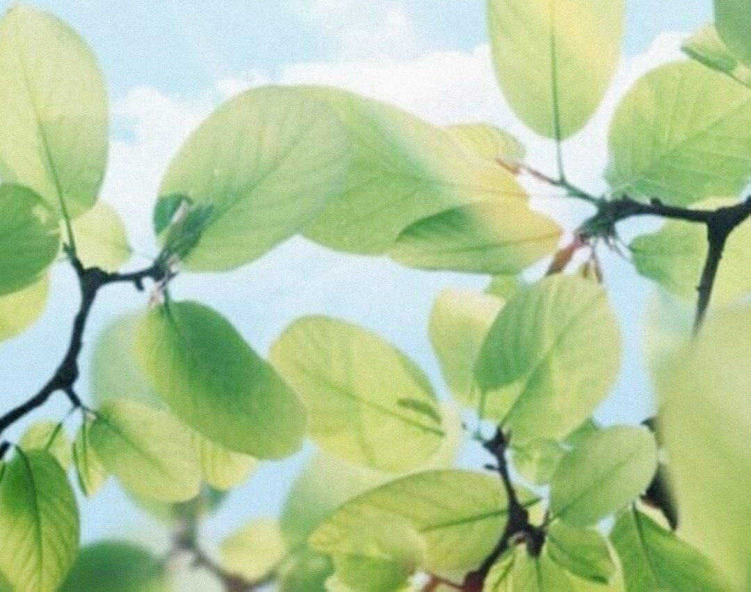 [天秤座]六月中旬，爱情降临，好好把握，三星座不辜负，上天的旨意