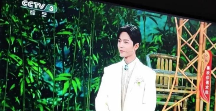 肖战|央视重播肖战春晚小品，粉丝：《余生》在CCTV播出就好了