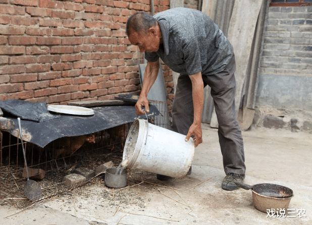 戏说三农|城市老人争相到农村养老，没住几天却又着急回去，为啥？答案揭晓