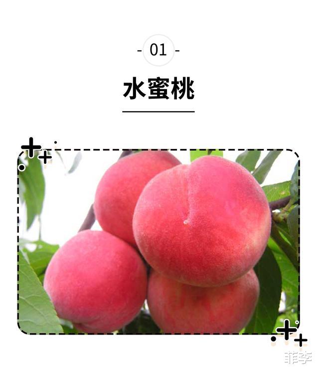 #茶叶#从野生小透明到颜值担当,桃子在几千年前就开始“整容整形”之路