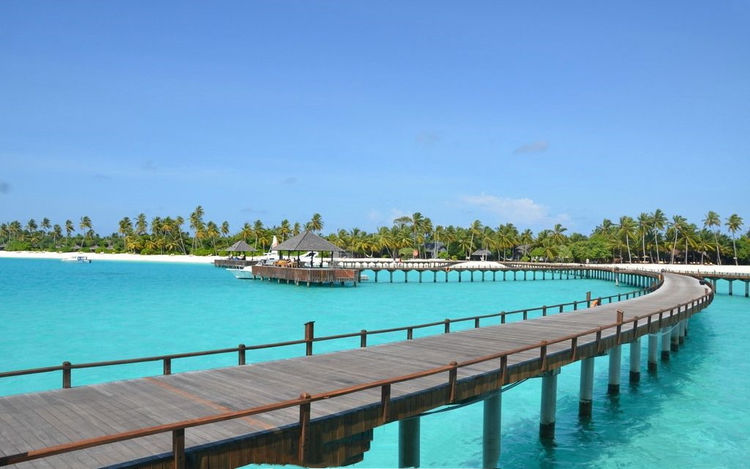 []我国游客又去了！这次是真的怒了，国家表示：所有费用自己承担