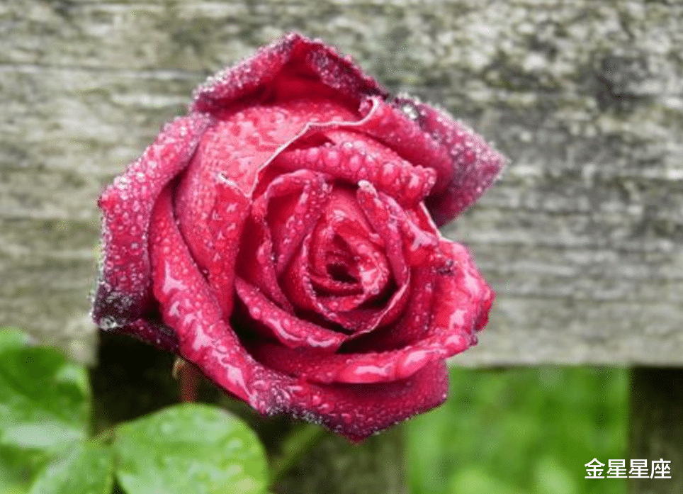 生肖@最近十天财气逼人，好事齐聚的3生肖，贵人支持，家庭幸福，安居乐业