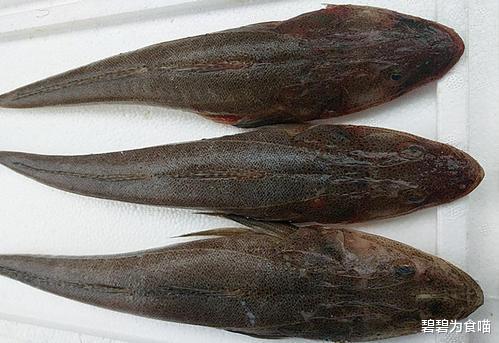 「」这种鱼在国内不值钱，只有潮汕人懂吃，到了日本它就成为高档货