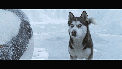 |“不考虑收入和面子，你最想做什么职业？网友的回复太精辟了！哈哈哈哈”