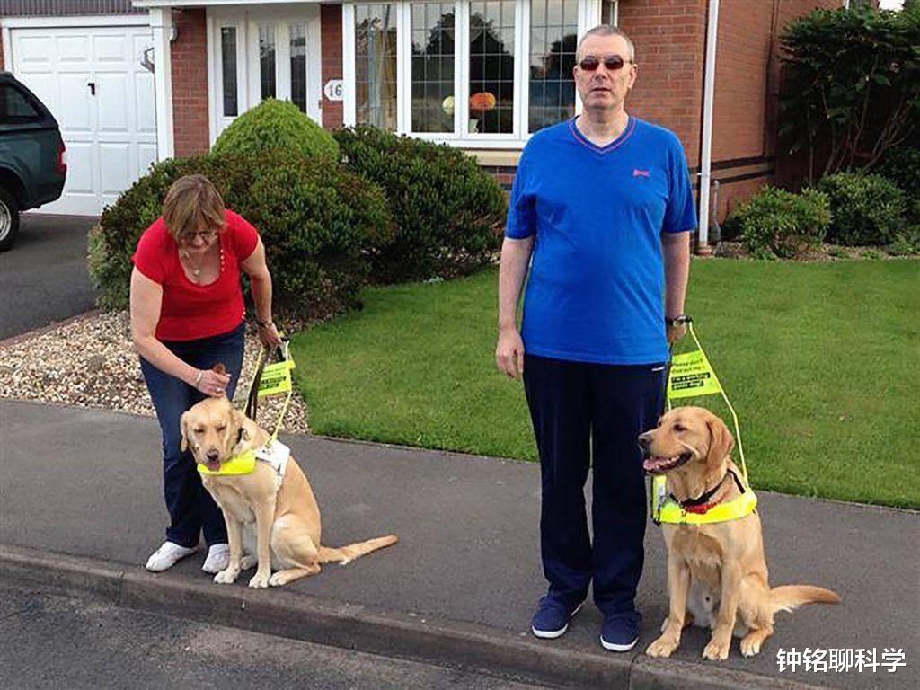 『』为什么狗能看到人类看不到的东西?