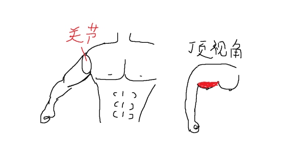 健身@不会健身？明白了这个原理，你几乎就会全身的锻炼了