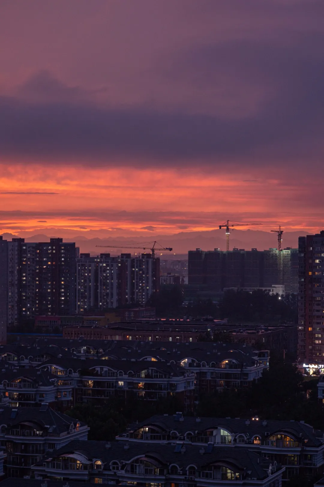 尼康：是什么力量，让尼康和佳能走到了一起？