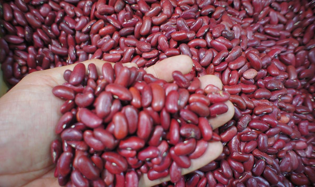 「咳嗽」湿气是“吃”出来的？它堪称“加湿器”，再爱吃也劝你管住嘴