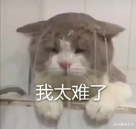 运动|李现私人照片遭曝光!他竟然喜欢这种运动?