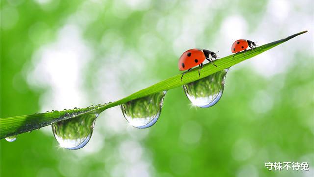 #鳄鱼#10个冷知识:没电的电池咬一下,为什么就能重新使用了