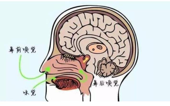 运动|鼻子出现这3个变化，可能是肺部出现了问题，还请及时去检查一下！