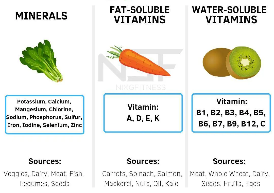 健身|健身别再瞎吃了！