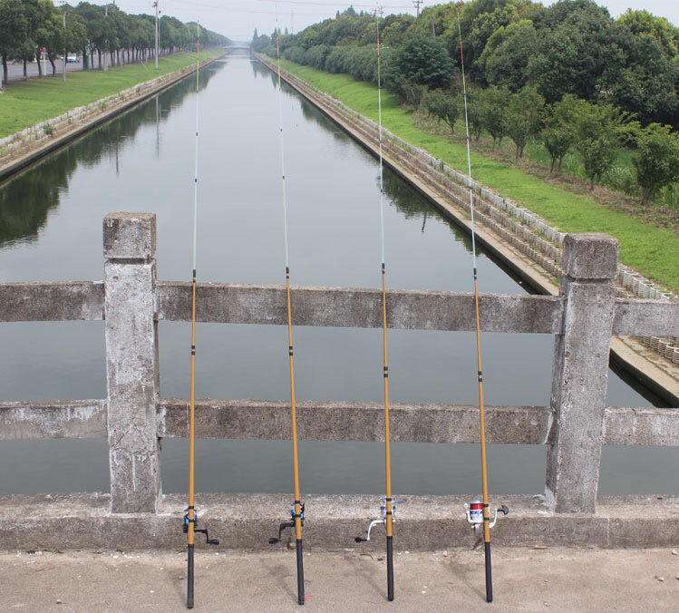 []你的钓鱼方法已经过时了，掌握这几个技巧，让你摘鱼摘到手抽筋