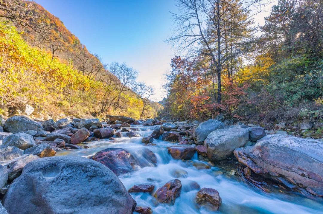 旅行|“最近，千万别去秦岭！”