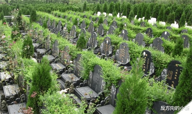 #科学家#人死后去了哪里？科学家给出了真相，原来再另一个世界活着？