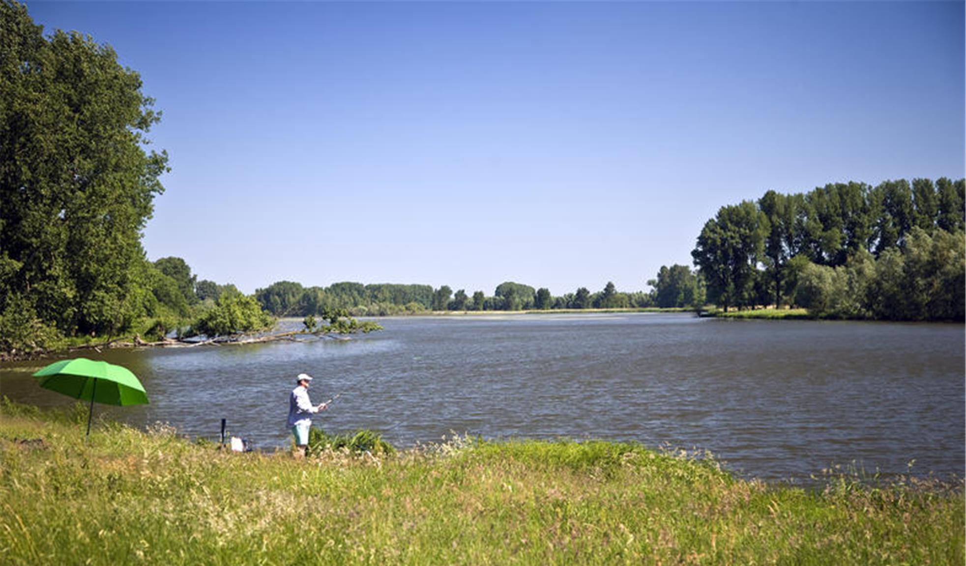 饵料|钓鱼也犯法？娱乐无罪捕捞违法！农民捕捞自食该遭到禁止吗？