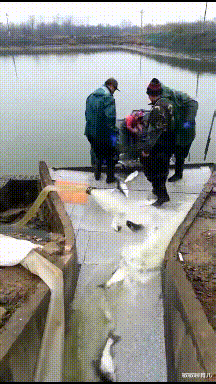 考试|考完试你都经历了什么?朋友一脸得意,结果我过了他废了哈哈哈!