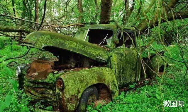 |人类灭绝后地球会怎样？美到让人难以想象，网友：该高兴还是悲伤？