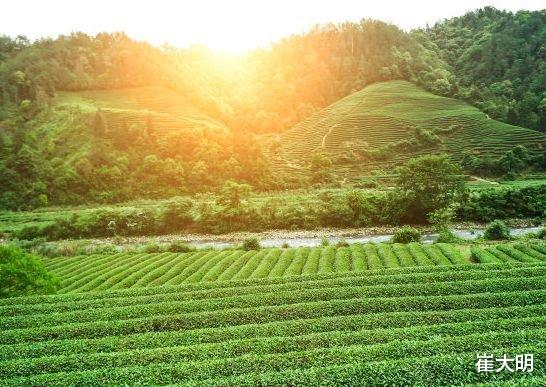 运势|年底运势越来越红火，4属相财运与日俱增，生活越来越好