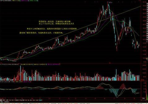 炒股■十人炒股九人亏：什么是“散户思维”？股民看完如梦初醒！