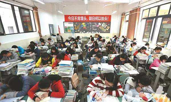 #高考#中考“第一名”的我，是如何在“鸡头”、“凤尾”型学校中抉择？