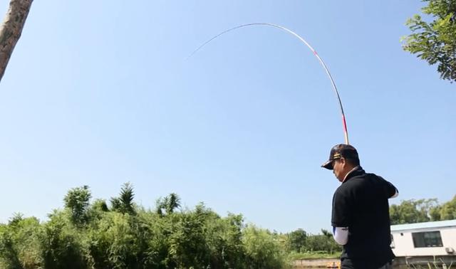 「鲫鱼」「用杆之道」献给在钓鱼路上的新人