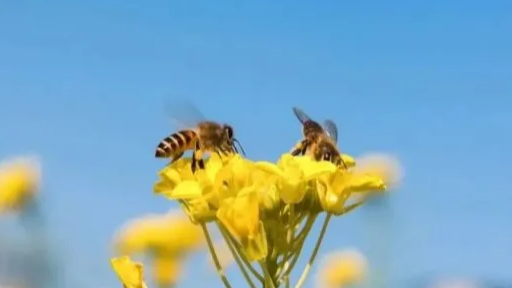 运势|9月大展鸿图，10月喜事临头，贵人数一数二，横财说来就来