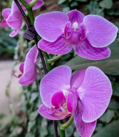 ■4月18号开始财星庇佑，4属相财源上门，祸事不敢近身，喜讯不断