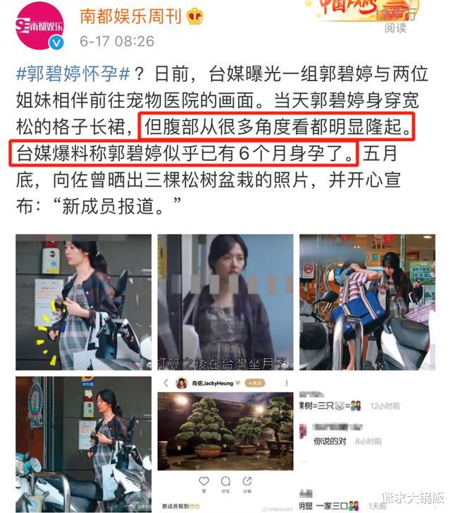 郭碧婷|终于陪产?他们这婚结得太坎坷了