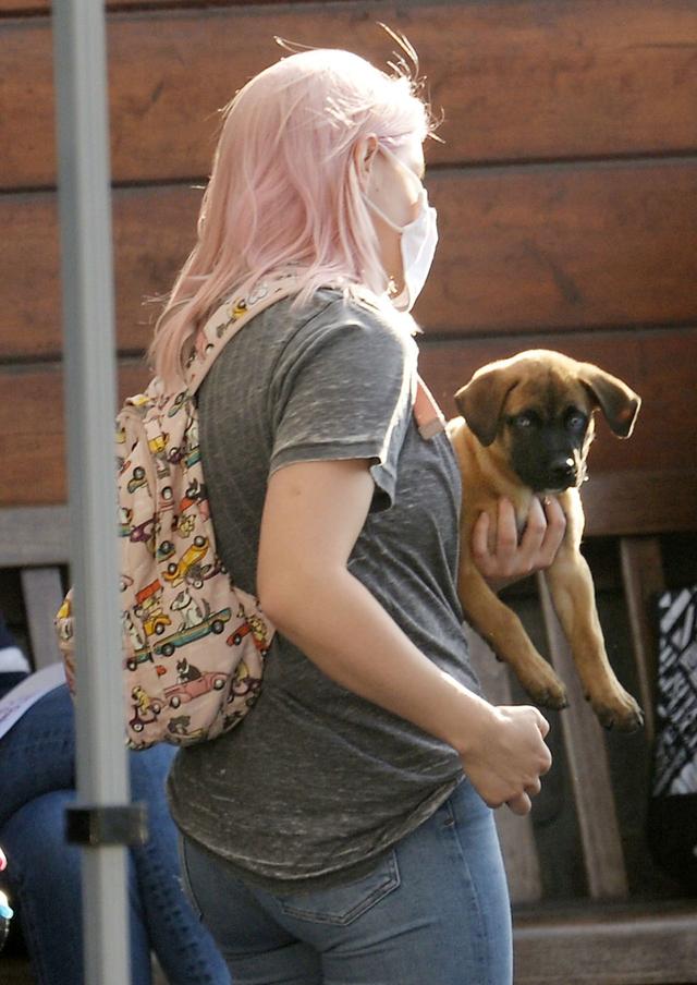 女星阿芮爾·溫特現身洛杉磯街頭，她抱的小狗很可愛-圖6