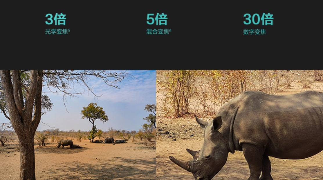 iphone11|还能再战三年，性价比首选，双11最值得购买的3款旧旗舰手机