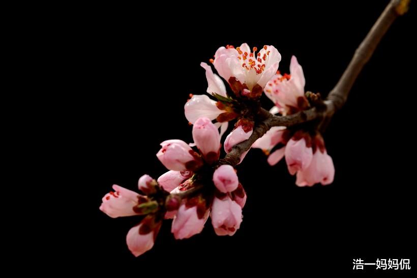 「生肖」7月2号贵人缘最强的3生肖：财运丰收，有人撑腰，感觉有点飘！