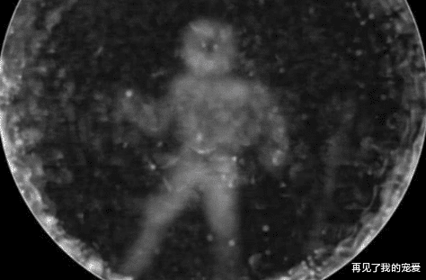 『海豚』海豚为什么这么喜欢人类？原来在海豚眼中，人类长这个样子！