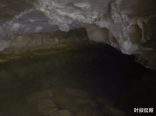 汉江|“在冰冷的水中发现这样的生物，这是啥玩意？”哈哈哈是不是在汉江钓鱼