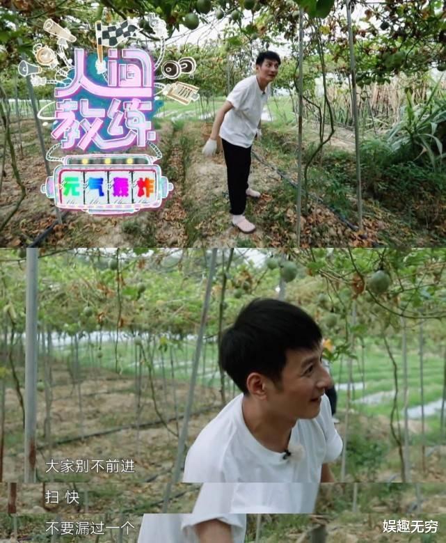 『李沁』《向往》最闹腾嘉宾出现，维嘉吴昕频繁抛梗，彭昱畅张子枫变透明