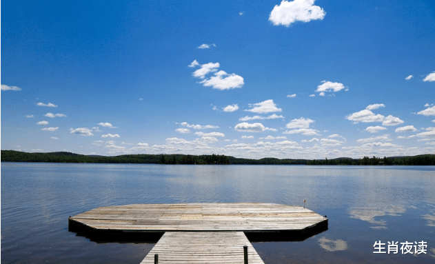 生肖|11月底,桃花不断,情商提升,不再花心,为爱稳重,再续前缘