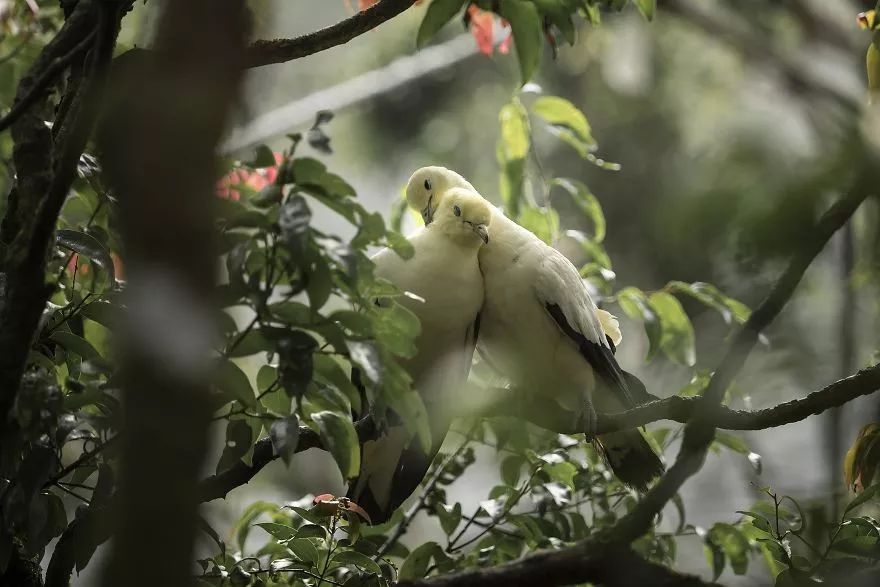 每天阅读|史上最催泪的30张照片，你能坚持到第几张