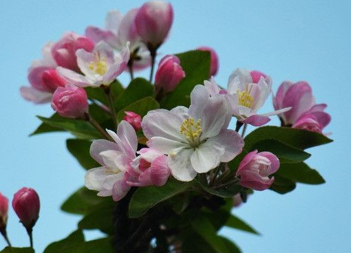 生肖|未来一周，4属相贵人提携，财运滚滚，事业顺利，生活十全十美