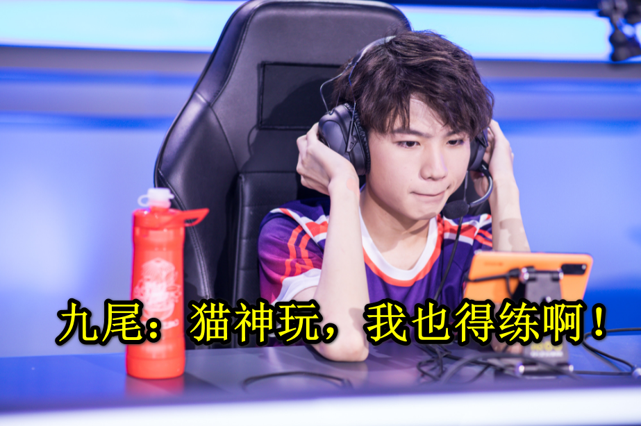 【kpl】KPL人物志——猫神迷弟篇,九尾、小新、易瞳、渡劫赫然在列!