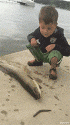 微商：“掌勺翻车了，再铲回去可以不？”哈哈哈我要疯了