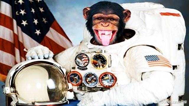 【太空】50多年前,第一位被人类送上太空的猩猩宇航员,后来怎么样了?
