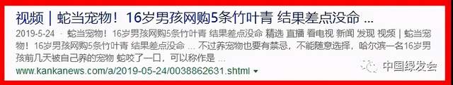 华硕|“双十一”护手指南 :狂欢背后缺失的这些数据,你了解吗?