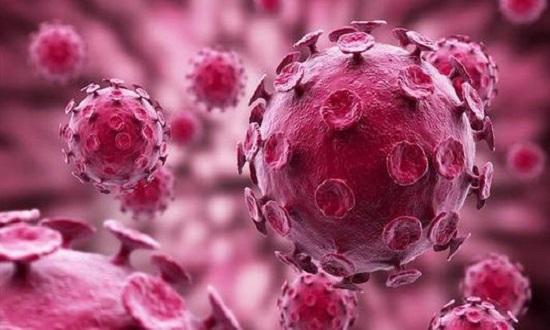 「出血热」肺炎病毒未消，又曝出另一种病毒，可怕